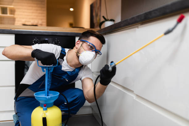 Best Wasp Removal Services  in Ridgefield Park, NJ