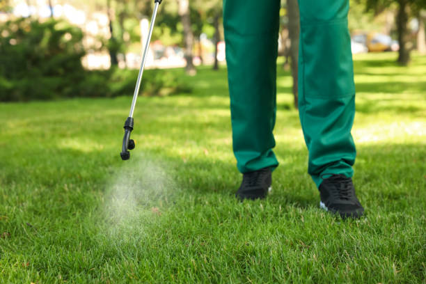 Best Best Pest Control Companies  in Ridgefield Park, NJ