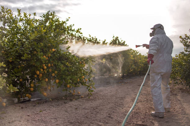 Best Commercial Pest Control Services  in Ridgefield Park, NJ