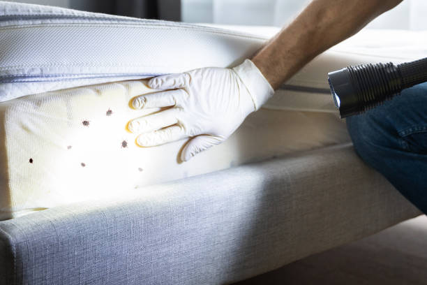 Best Rat Extermination Near Me  in Ridgefield Park, NJ
