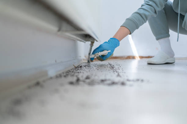 Best Spider Control Near Me  in Ridgefield Park, NJ
