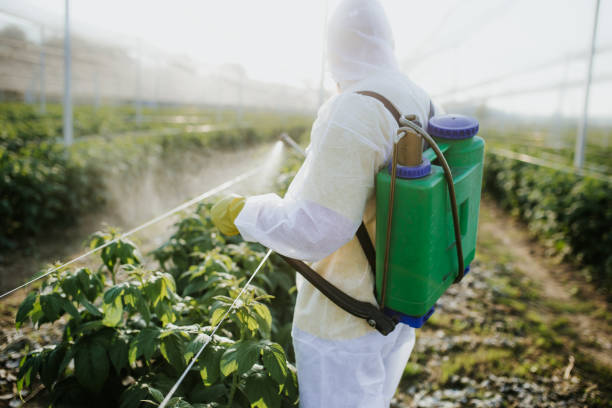 Best Emergency Pest Control  in Ridgefield Park, NJ